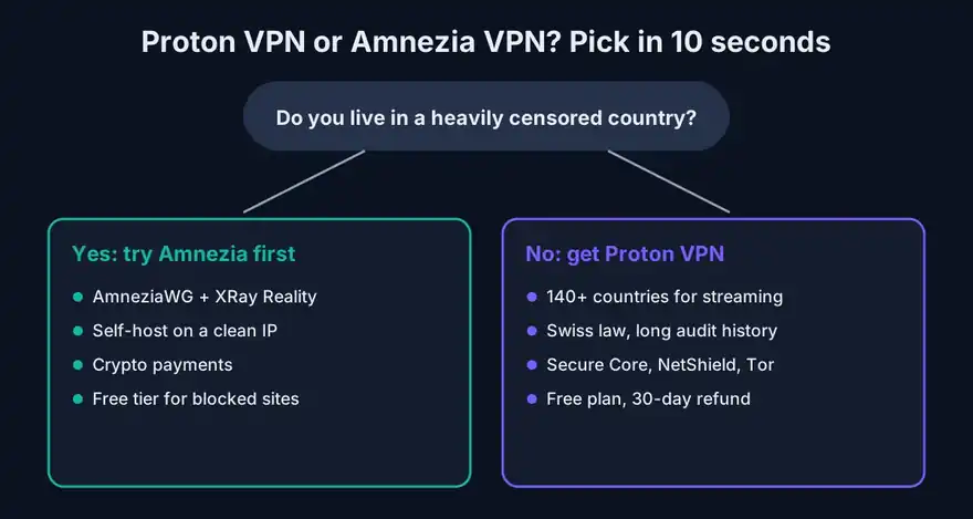 Decision guide: when to choose Amnezia VPN vs Proton VPN
